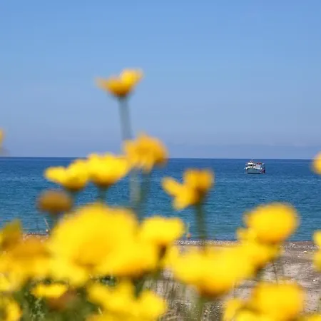 Beba * Cefalù