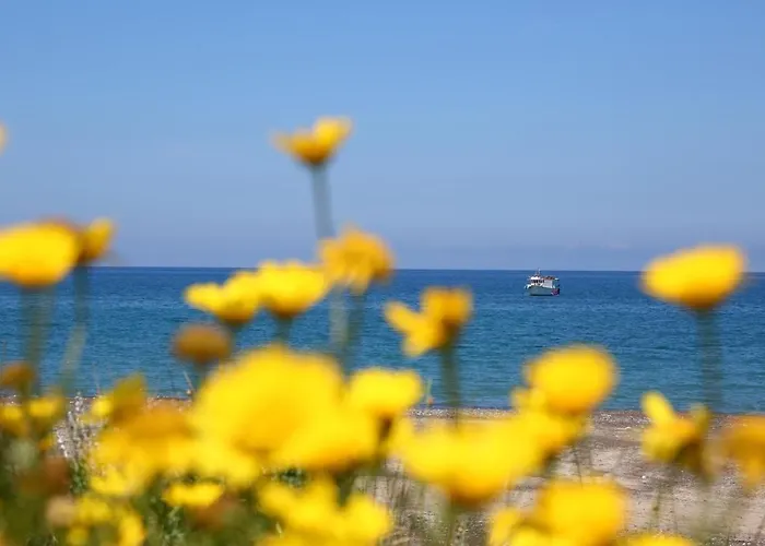 Beba * Cefalù